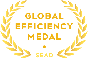 Global Efficiency Medal logo